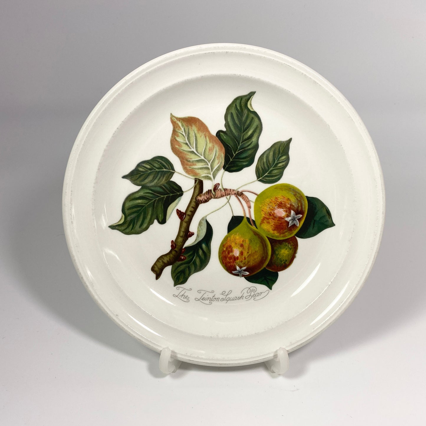 PORTMEIRION  7 .25 side Plate POMONA The Goddess Of Fruit Teinton Squash Pear