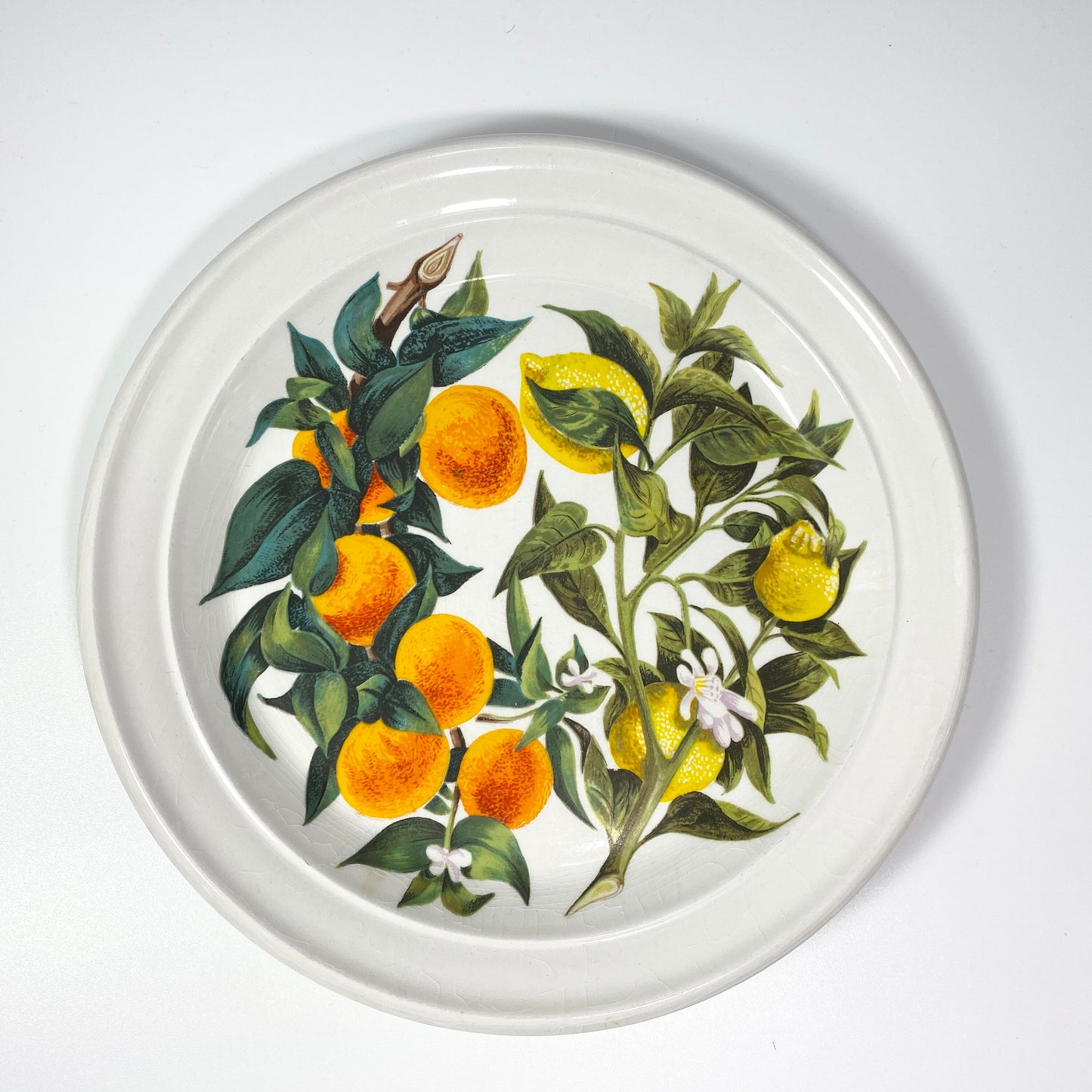 RARE !! Portmeirion ORANGE & LEMONS 8.5 inches Plate  sold individually