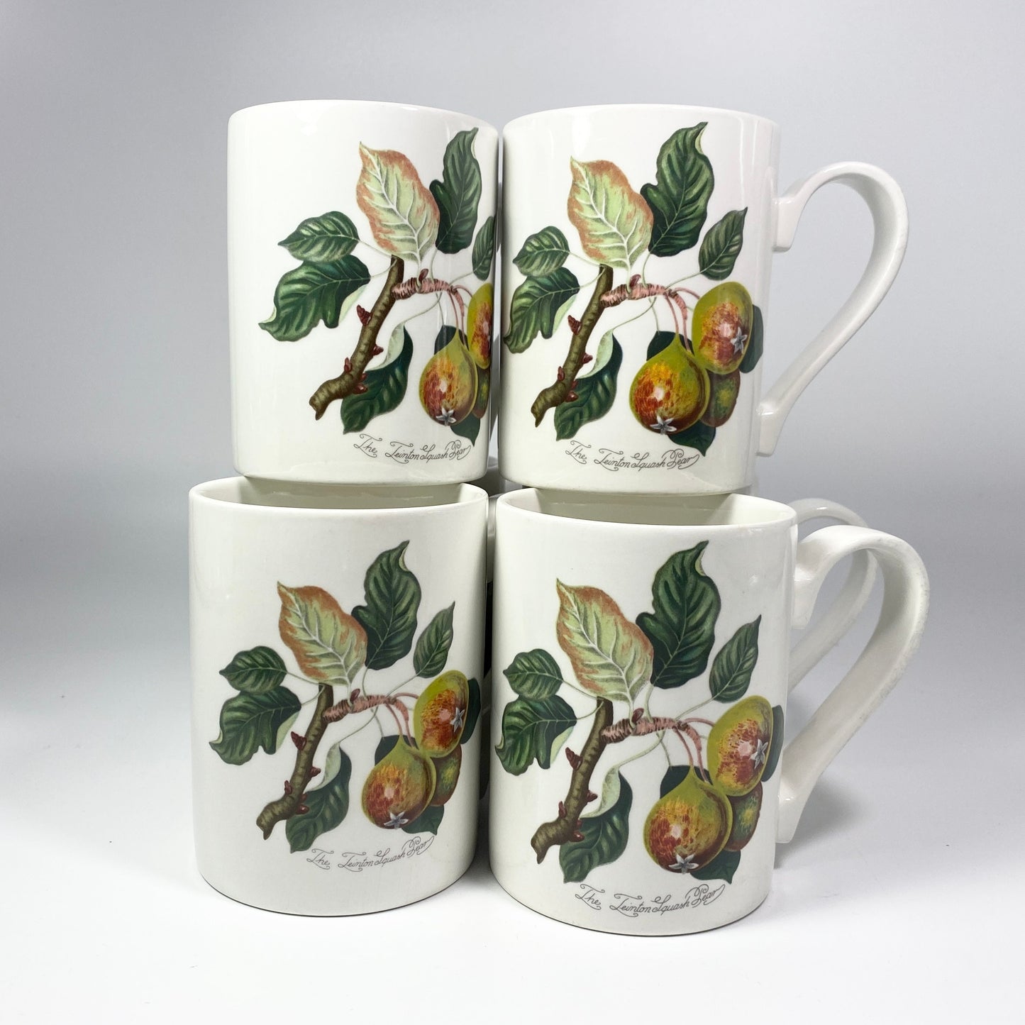 Portmeirion Pomona Grimwoods Teinton Squash Pear coffee tea mug