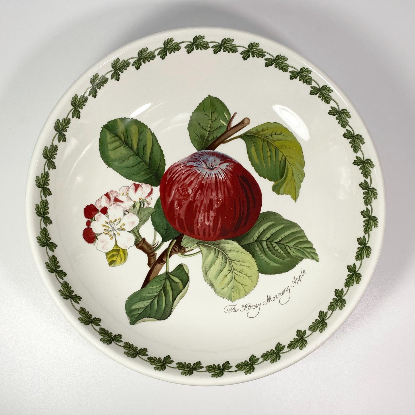 Pomona By Portmeirion 10” Salad Serving Bowl - The Hoary Morning Apple Design