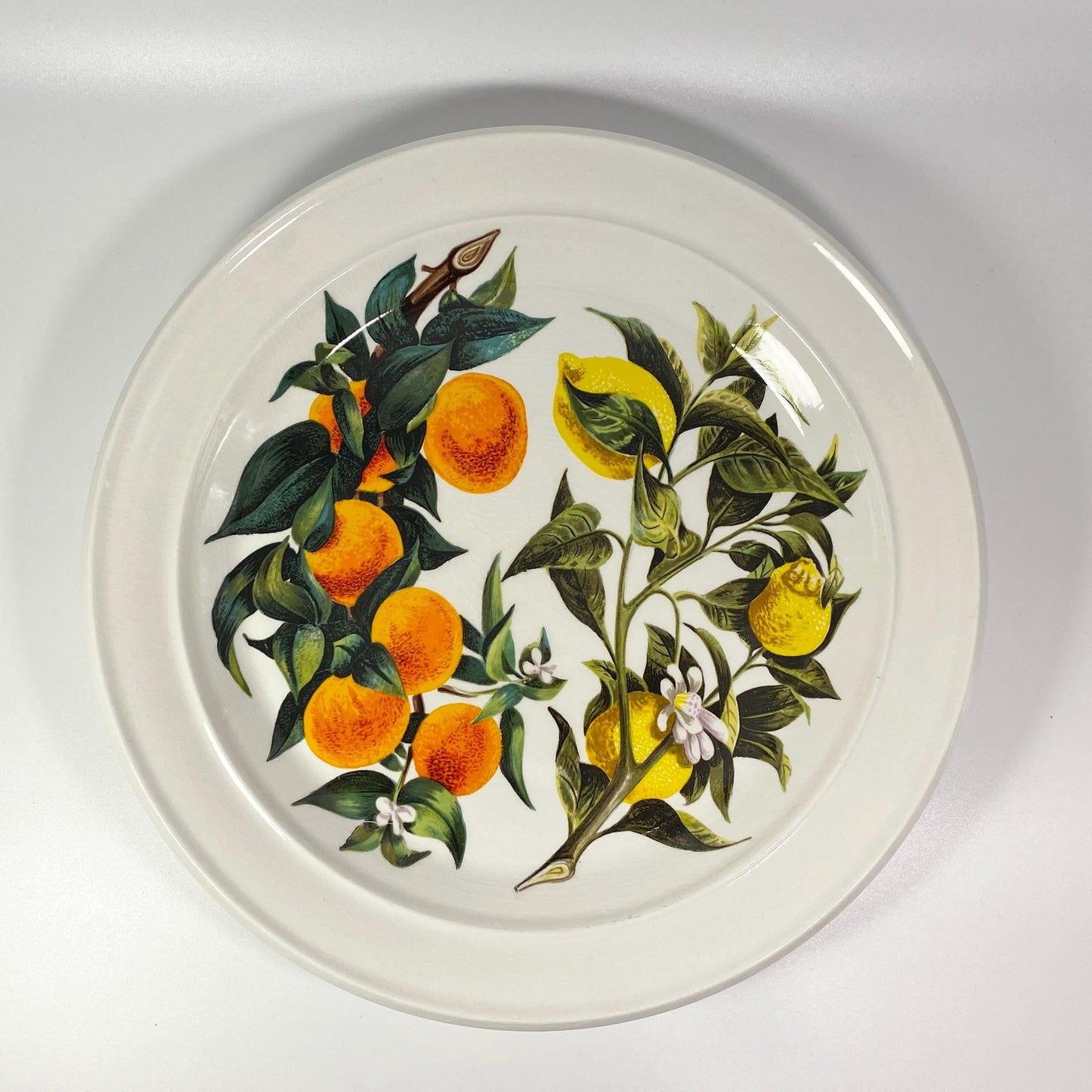 Portmeirion Oranges & Lemons 12 " Serving Platter Susan Williams Ellis England