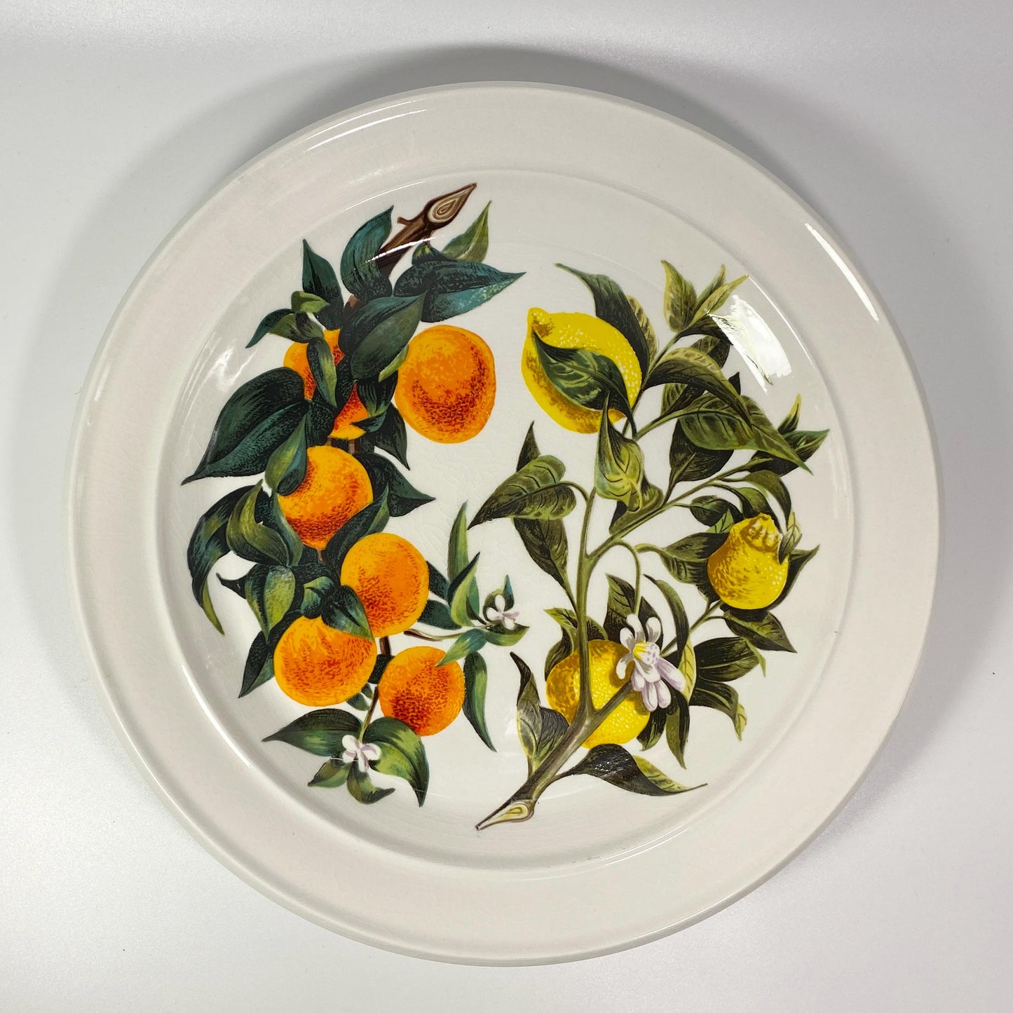 Portmeirion Oranges & Lemons 12 " Serving Platter Susan Williams Ellis England