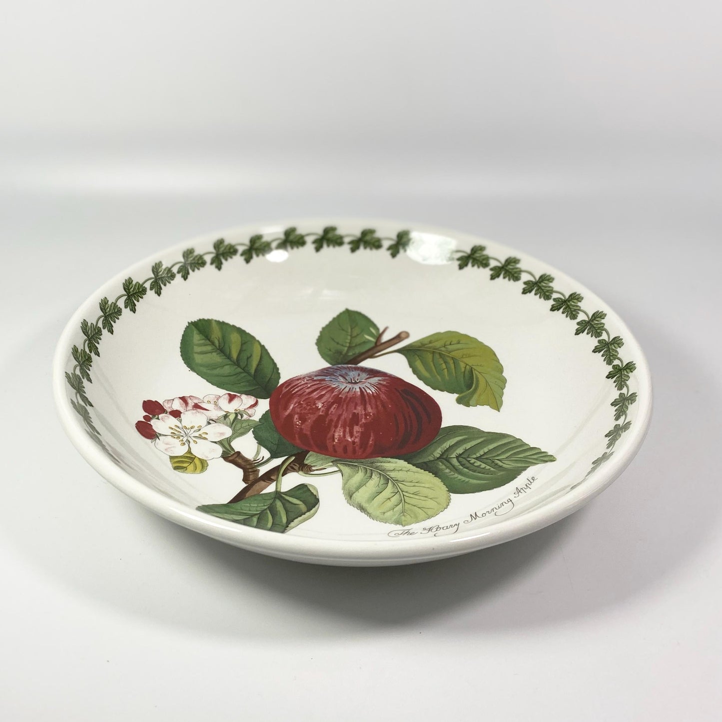 Pomona By Portmeirion 10” Salad Serving Bowl - The Hoary Morning Apple Design