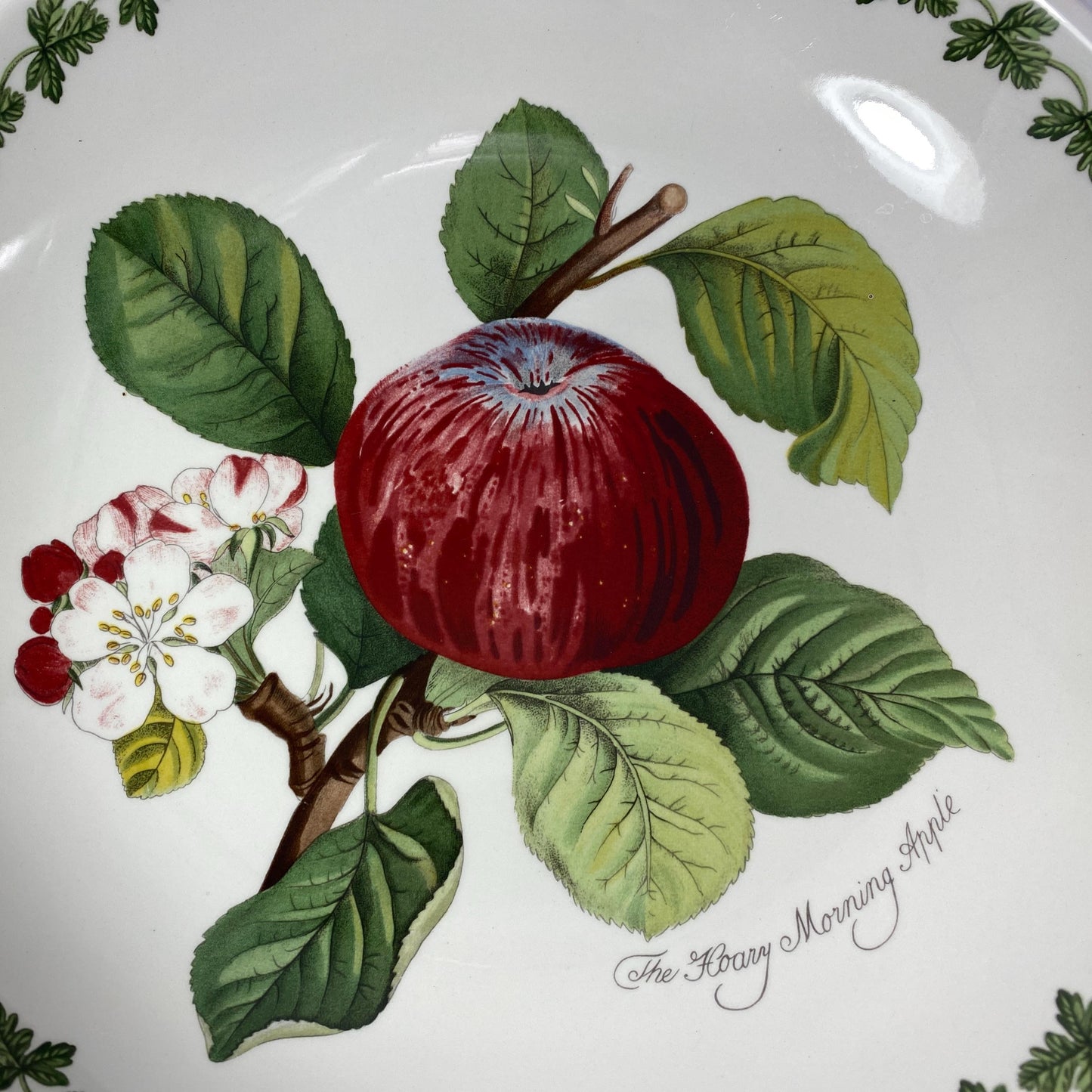 Pomona By Portmeirion 10” Salad Serving Bowl - The Hoary Morning Apple Design