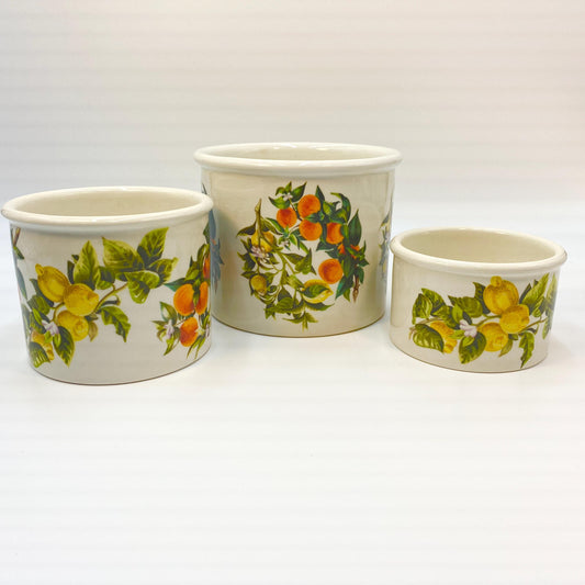 Lot of 3 Portmeirion oranges & lemons Canisters by Susan Williams-Vintage