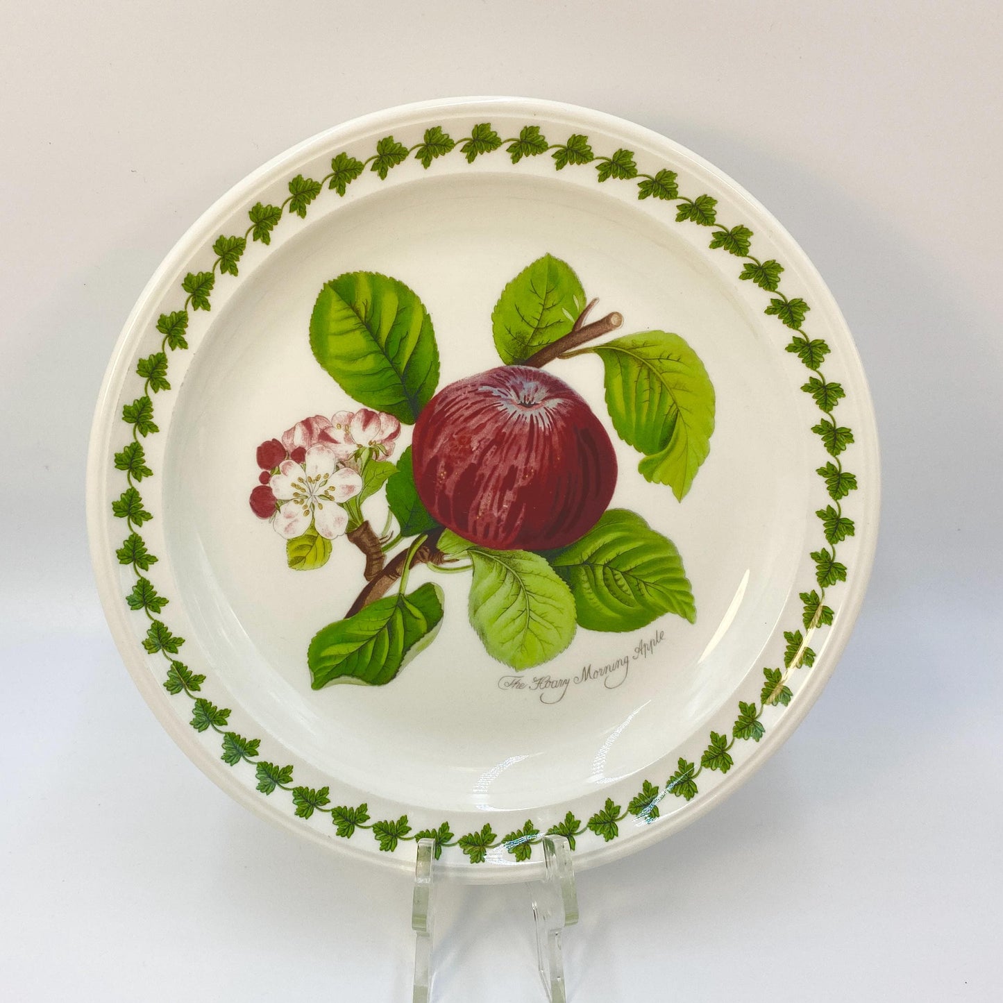 Portmeirion Pomona The Hoary Morning Apple Salad Plates 8.5 in. Discontinued