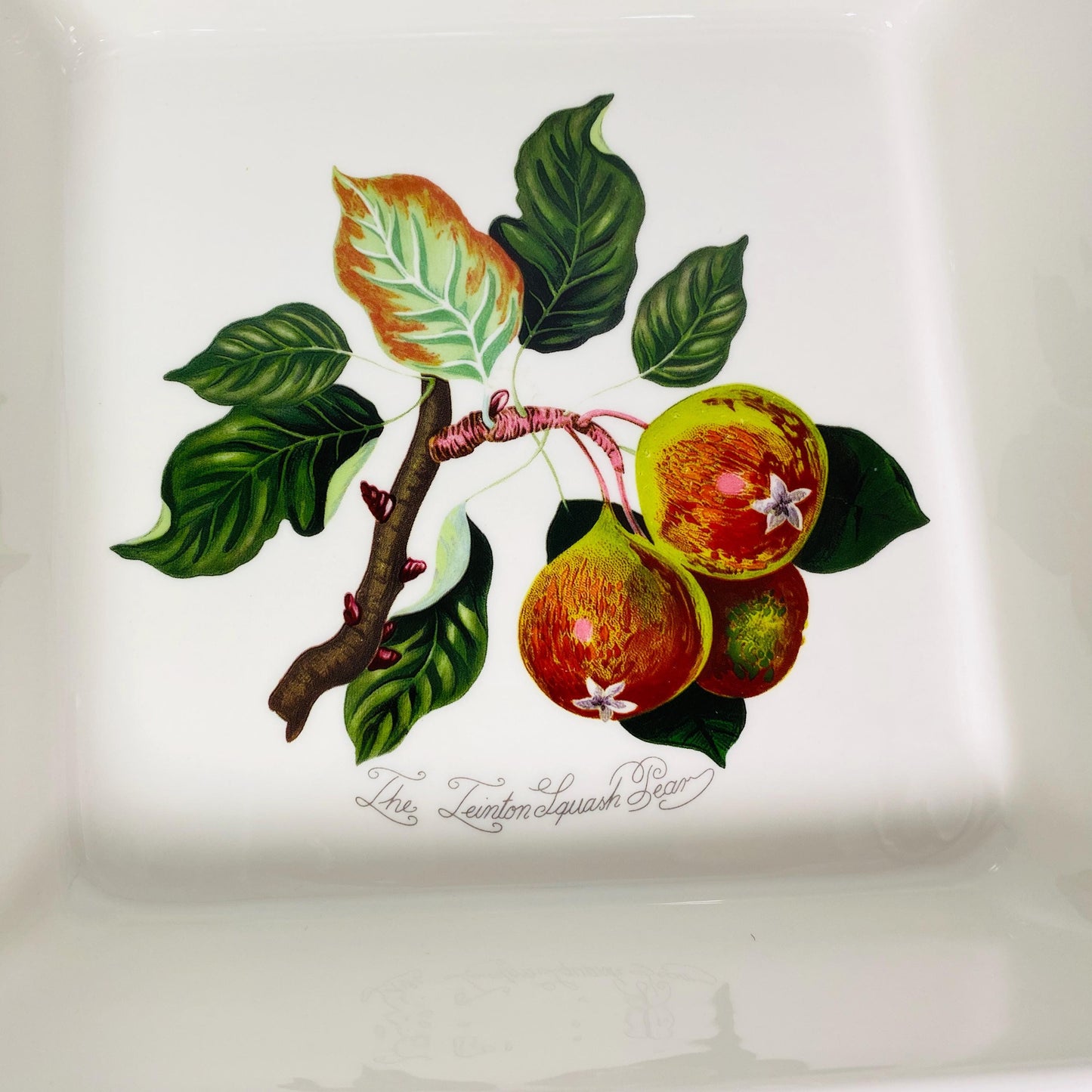 RARE !! Portmeirion Pomona Collection 10” Square Baking Dish Teinton Squash Pear design