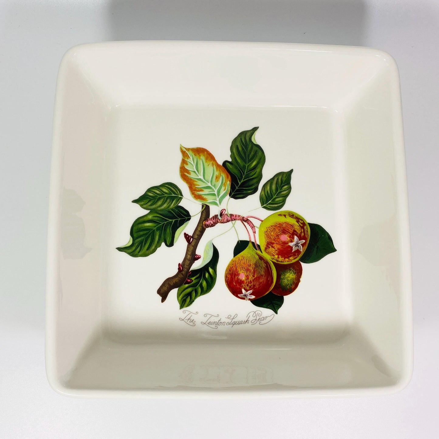 RARE !! Portmeirion Pomona Collection 10” Square Baking Dish Teinton Squash Pear design