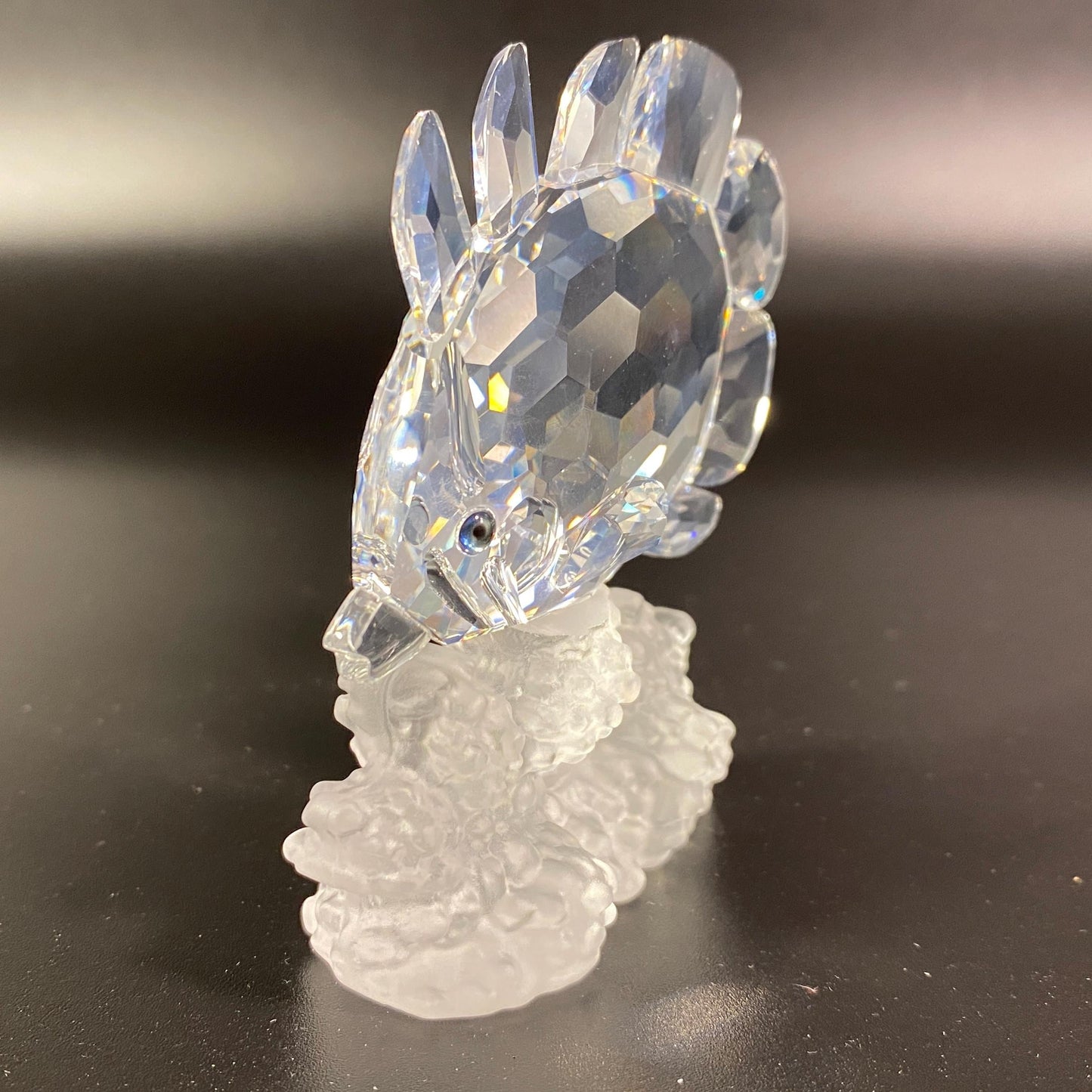 Swarovski Crystal Butterfly Fish Coral Reef - Mint In Box #162888 & CoA