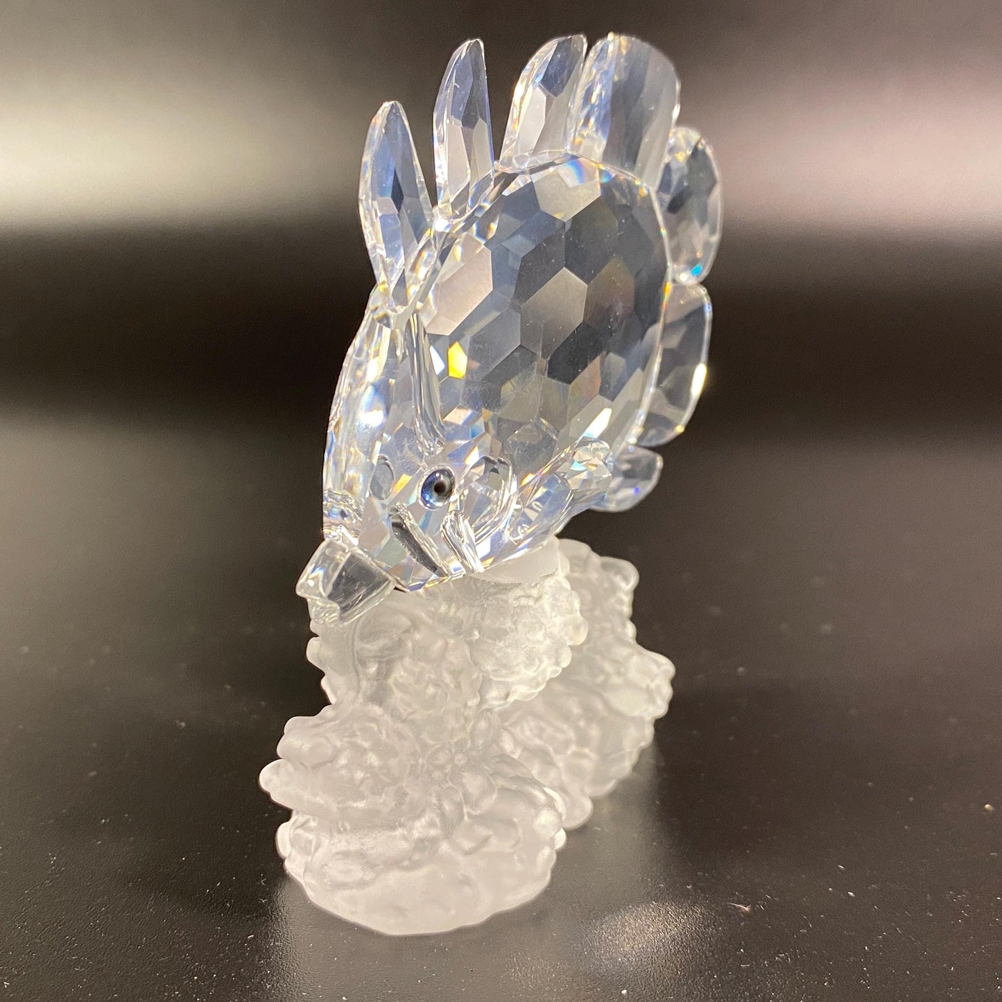 Swarovski Crystal Butterfly Fish Coral Reef - Mint In Box #162888 & CoA