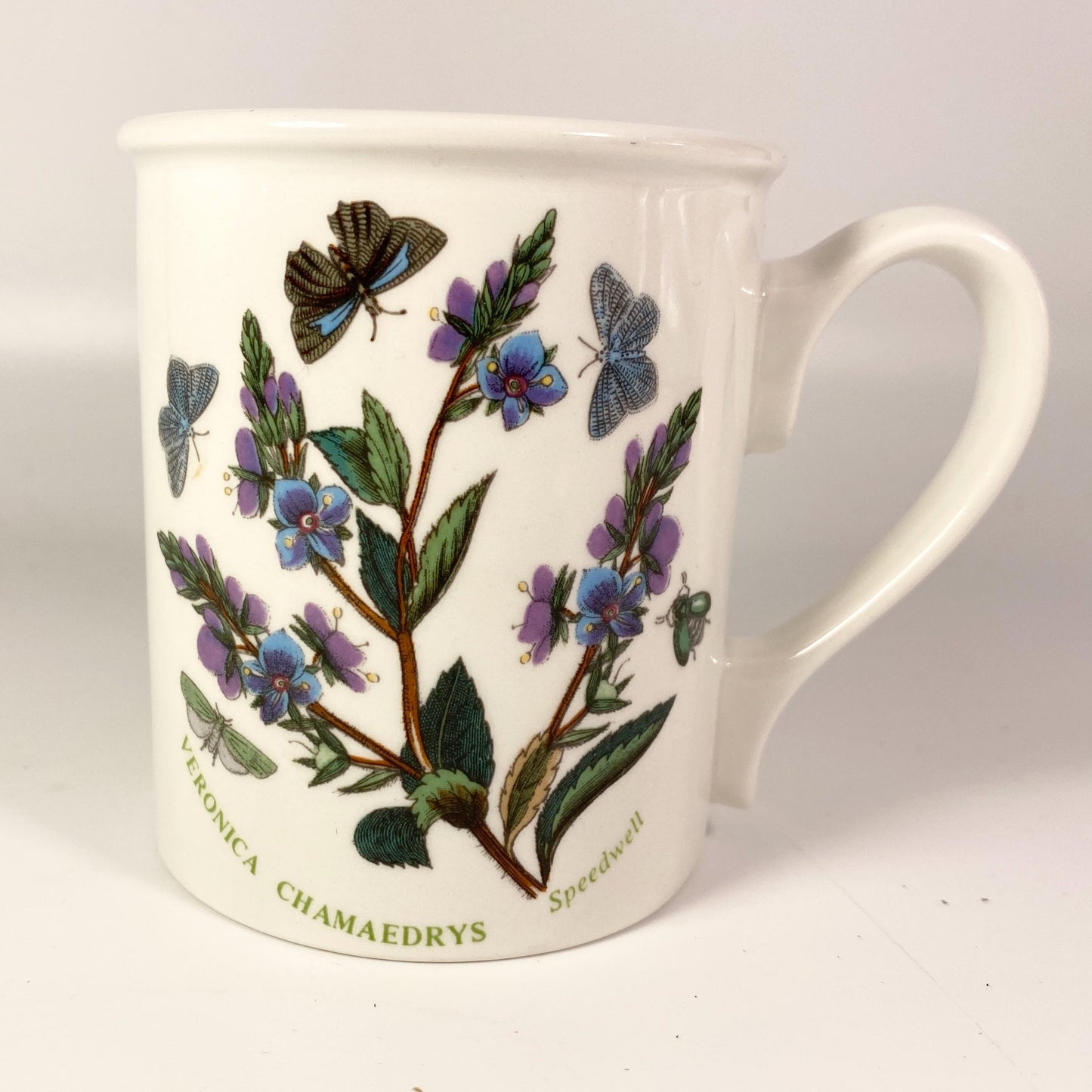 Portmeirion Botanic Garden by Susan Ellis Veronica Chamaedrys design