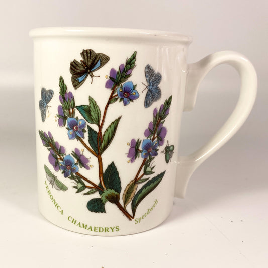 Portmeirion Botanic Garden by Susan Ellis Veronica Chamaedrys design