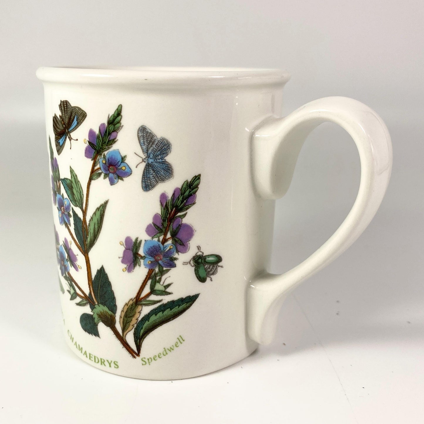 Portmeirion Botanic Garden by Susan Ellis Veronica Chamaedrys design