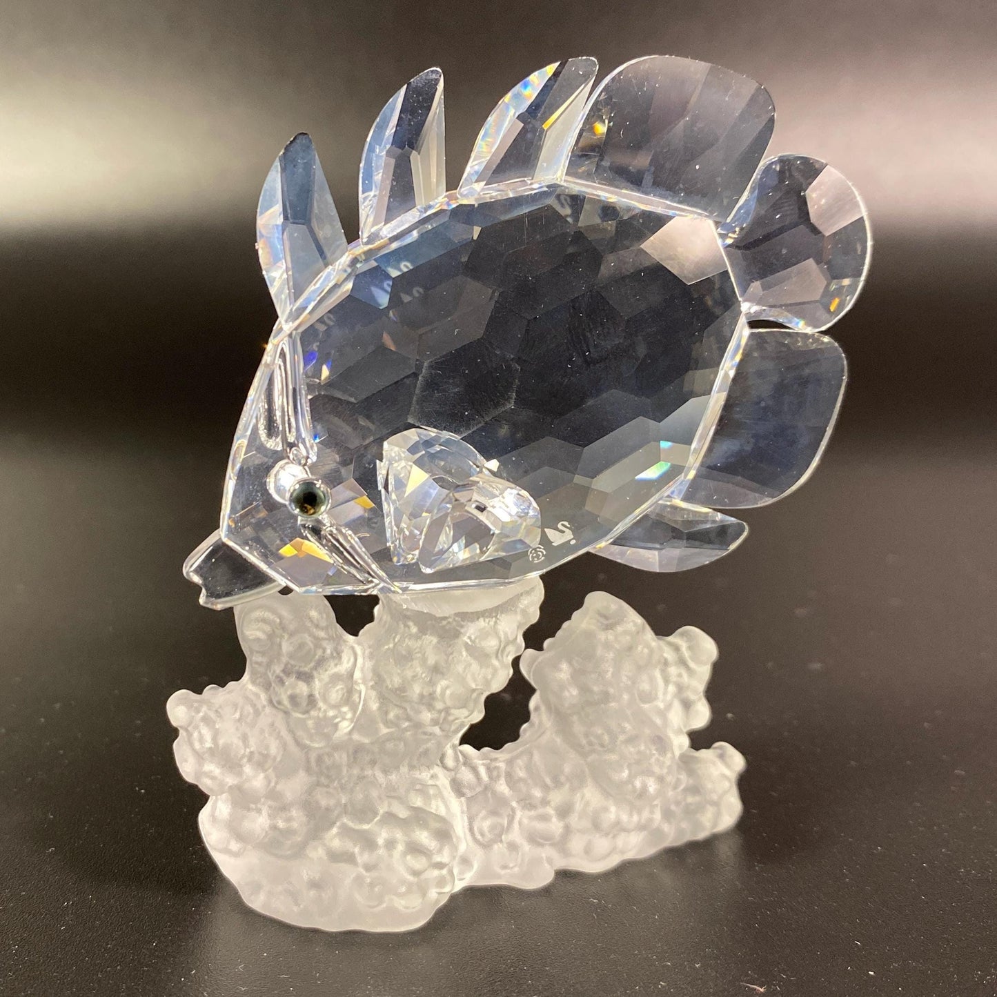 Swarovski Crystal Butterfly Fish Coral Reef - Mint In Box #162888 & CoA
