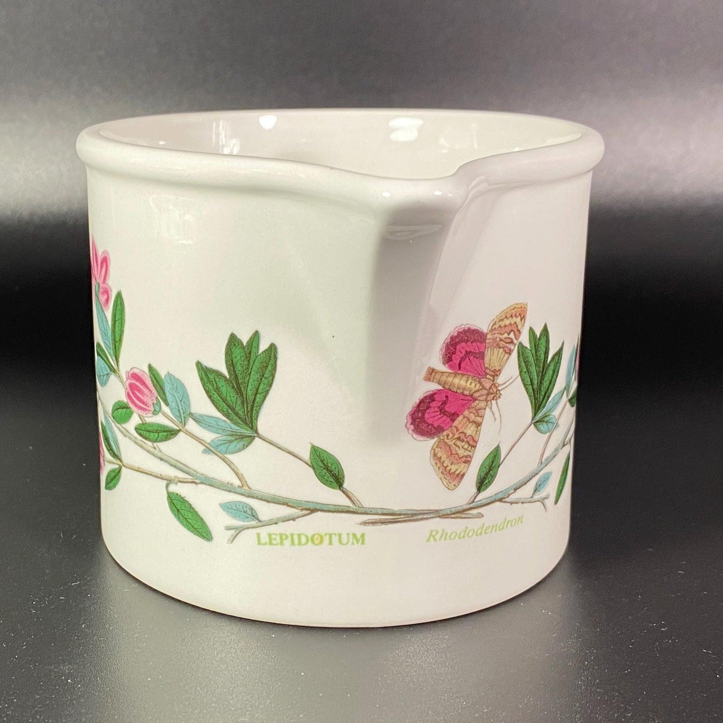 Portmeirion Botanic garden Lepidotum Rhododendron drum Large creamer