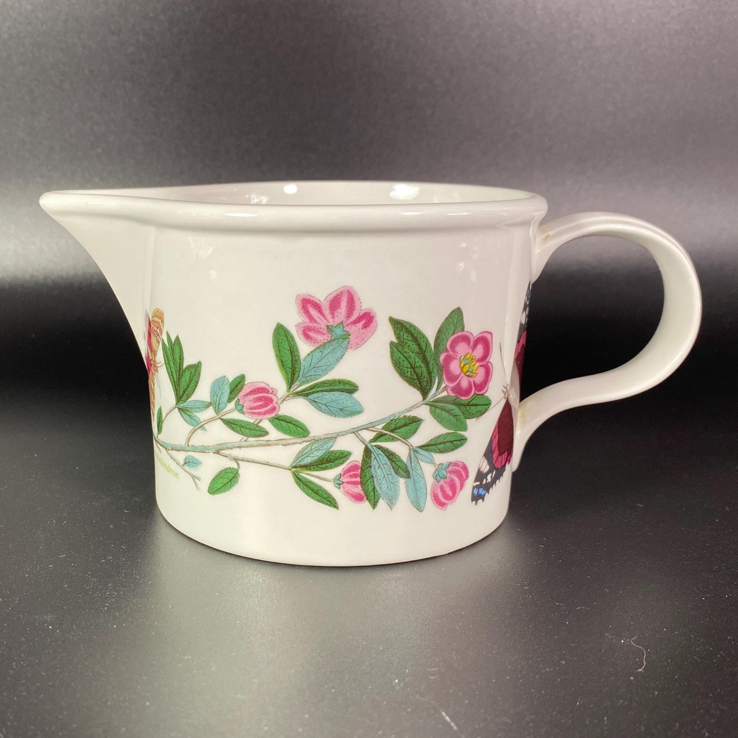 Portmeirion Botanic garden Lepidotum Rhododendron drum Large creamer