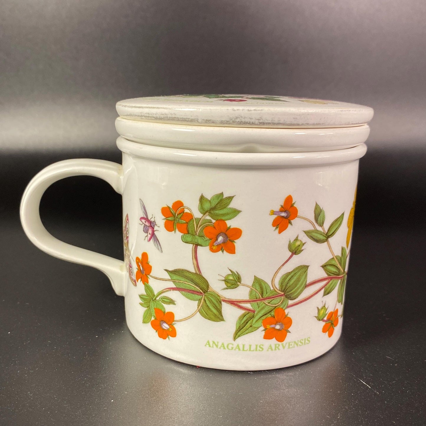 Extremely RARE !! Portmeirion botanic garden teacup with tea steeper or Infuser with lid