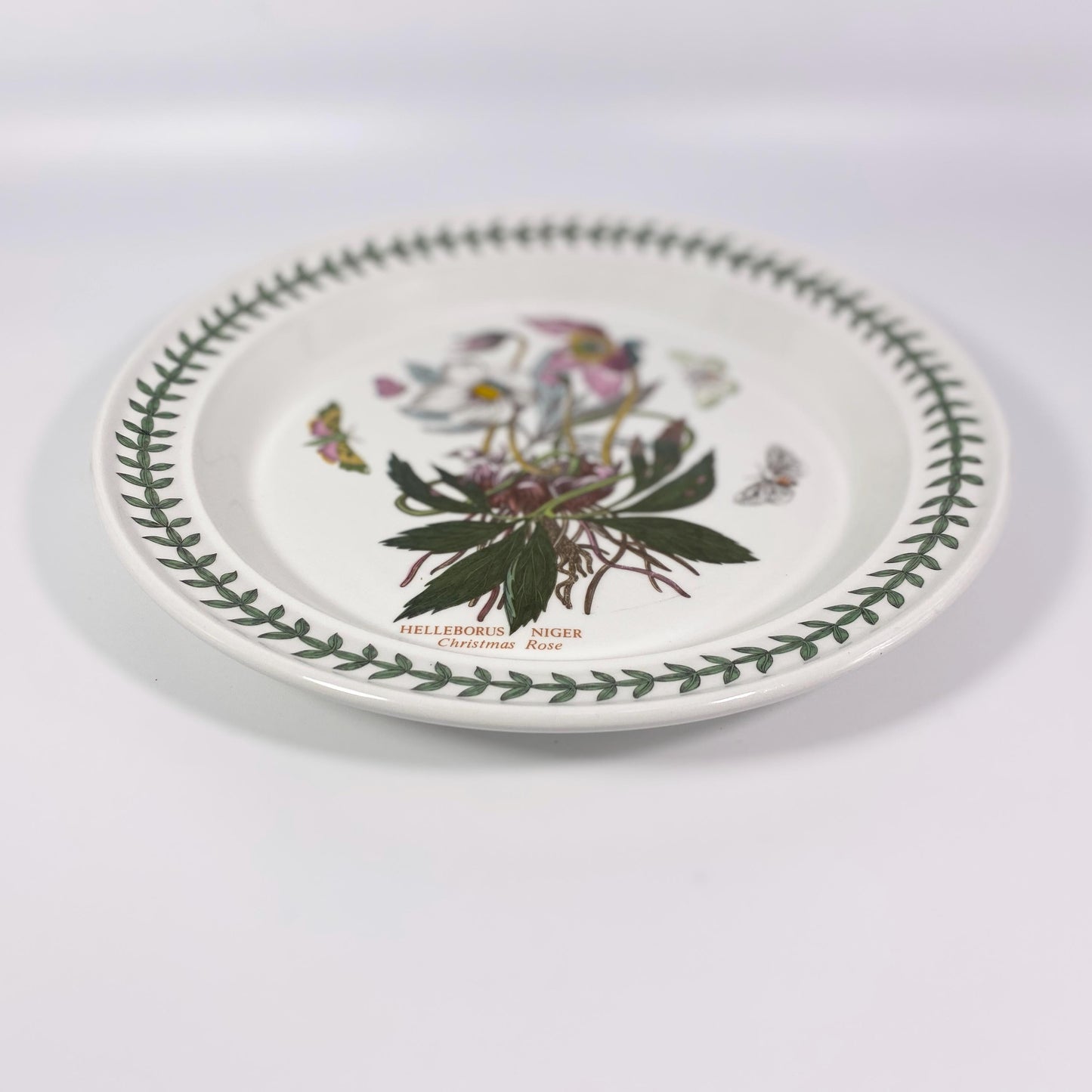 Portmeirion Botanic Garden 10 1/2" Dinner Plate Helleborus Niger Christmas Rose