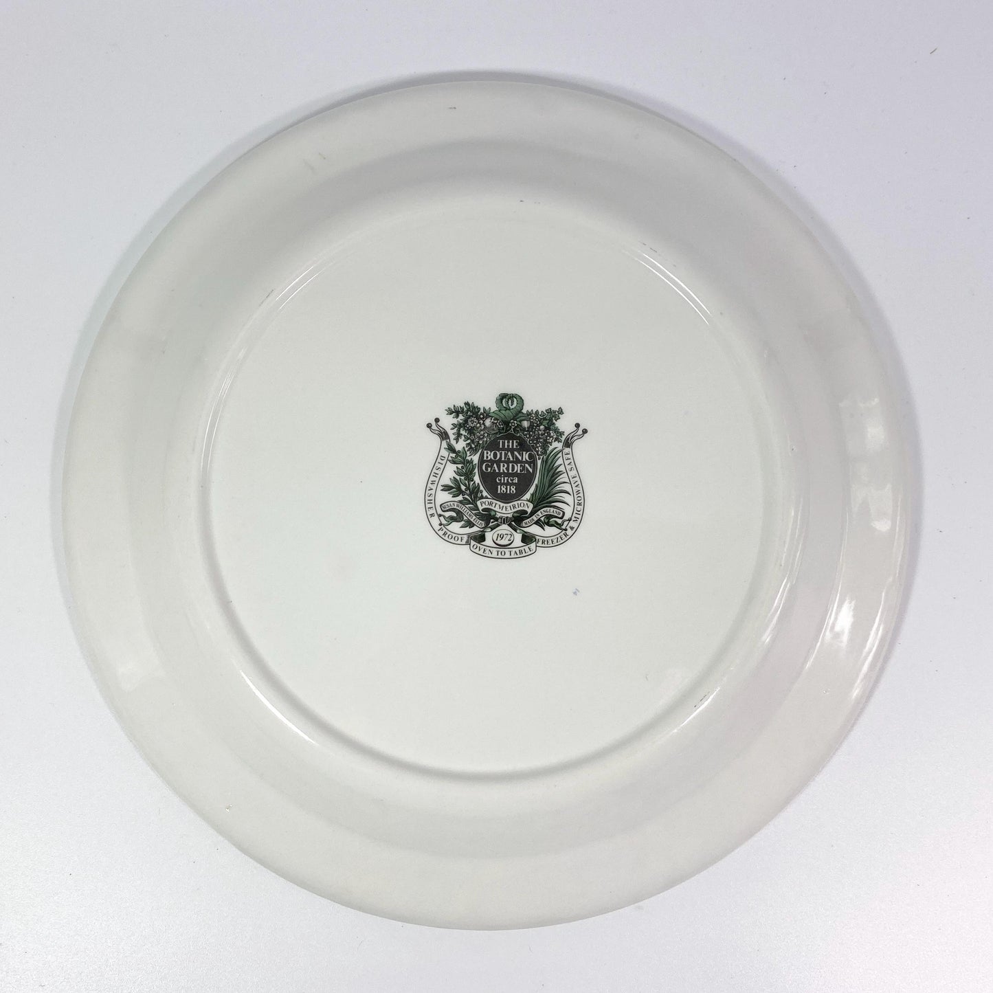 Portmeirion Botanic Garden 10 1/2" Dinner Plate Helleborus Niger Christmas Rose