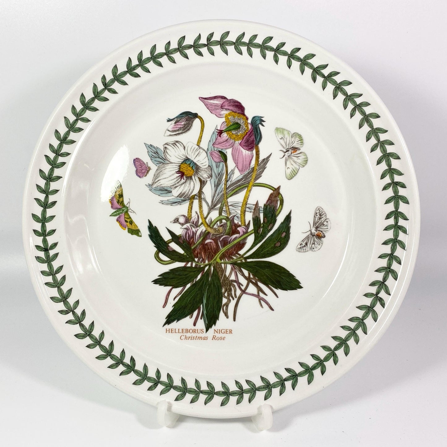 Portmeirion Botanic Garden 10 1/2" Dinner Plate Helleborus Niger Christmas Rose