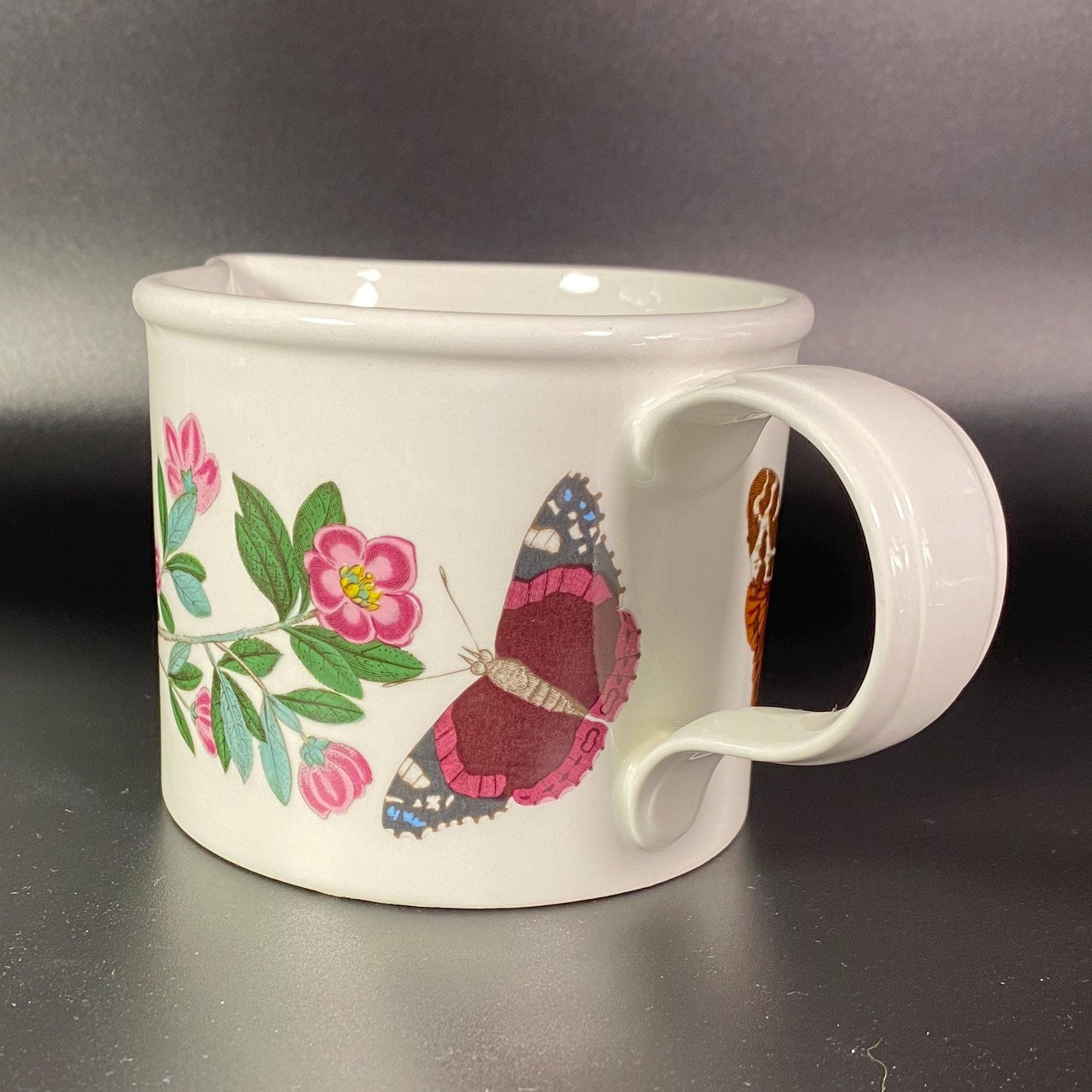Portmeirion Botanic garden Lepidotum Rhododendron drum Large creamer
