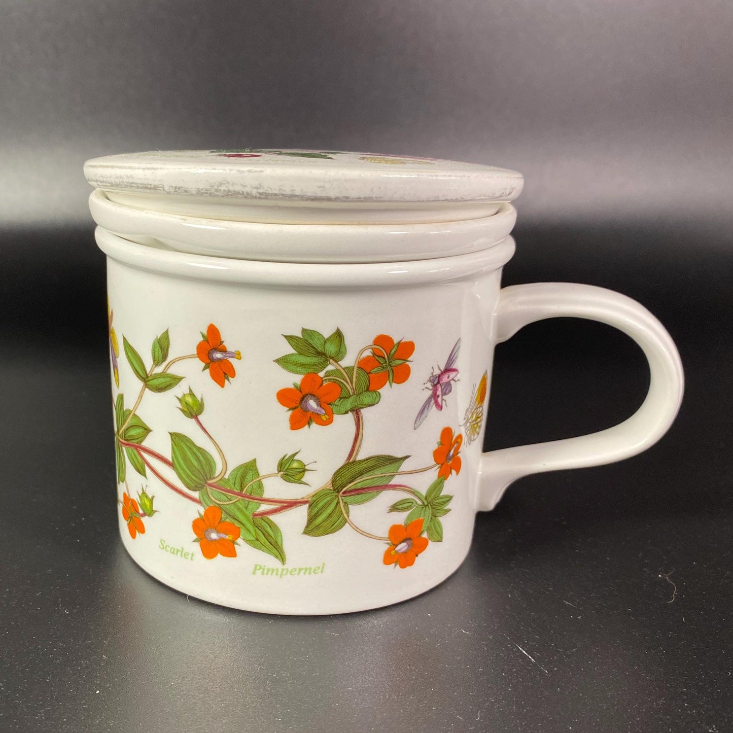 Extremely RARE !! Portmeirion botanic garden teacup with tea steeper or Infuser with lid