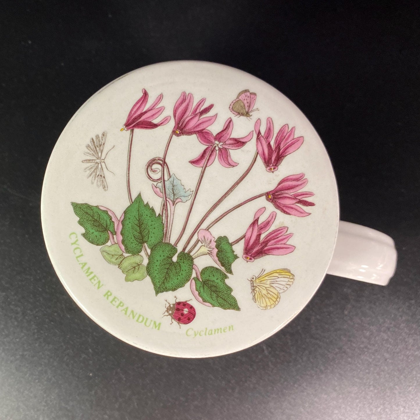 Extremely RARE !! Portmeirion botanic garden teacup with tea steeper or Infuser with lid