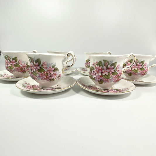 Rare !! PARAGON MAYFLOWER Tea Cup & Saucer Bone China made in England