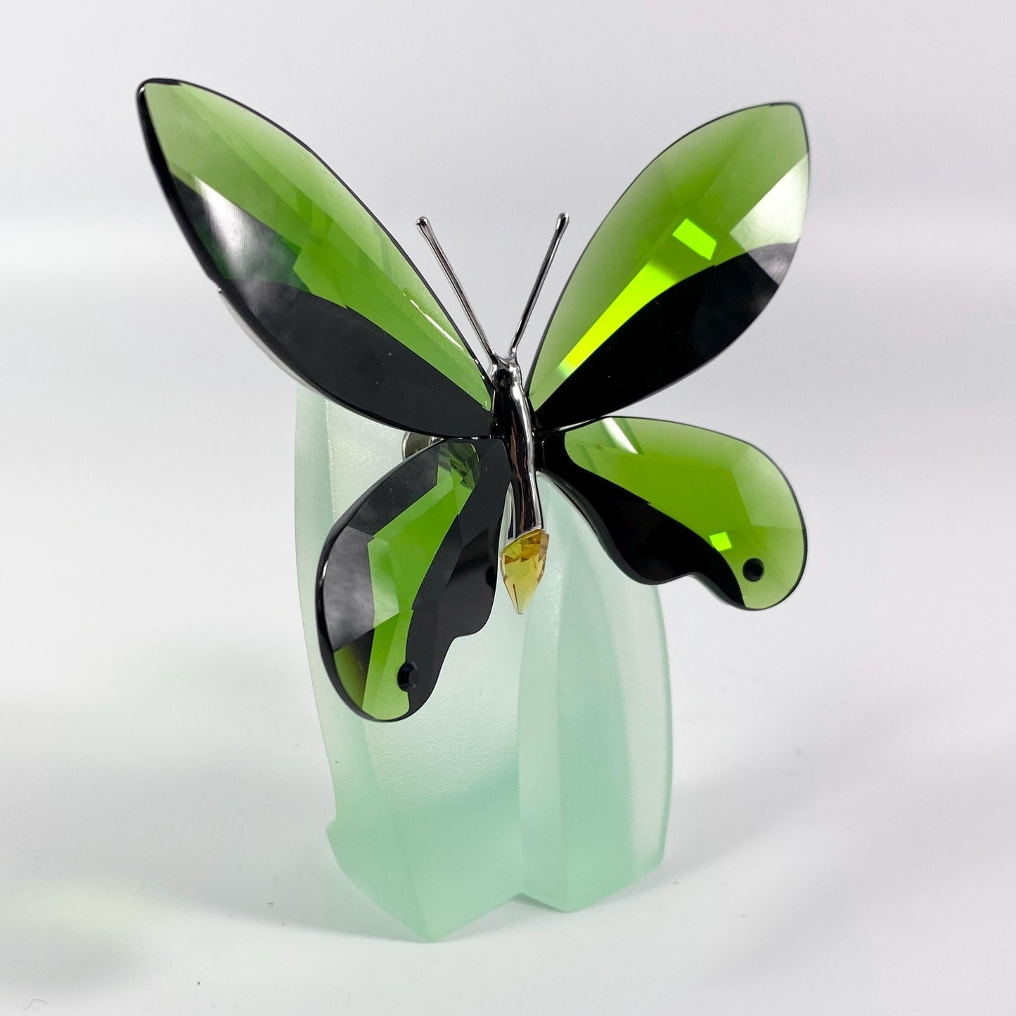 Swarovski Anamosa Exotic Moss Green Butterfly with Stand