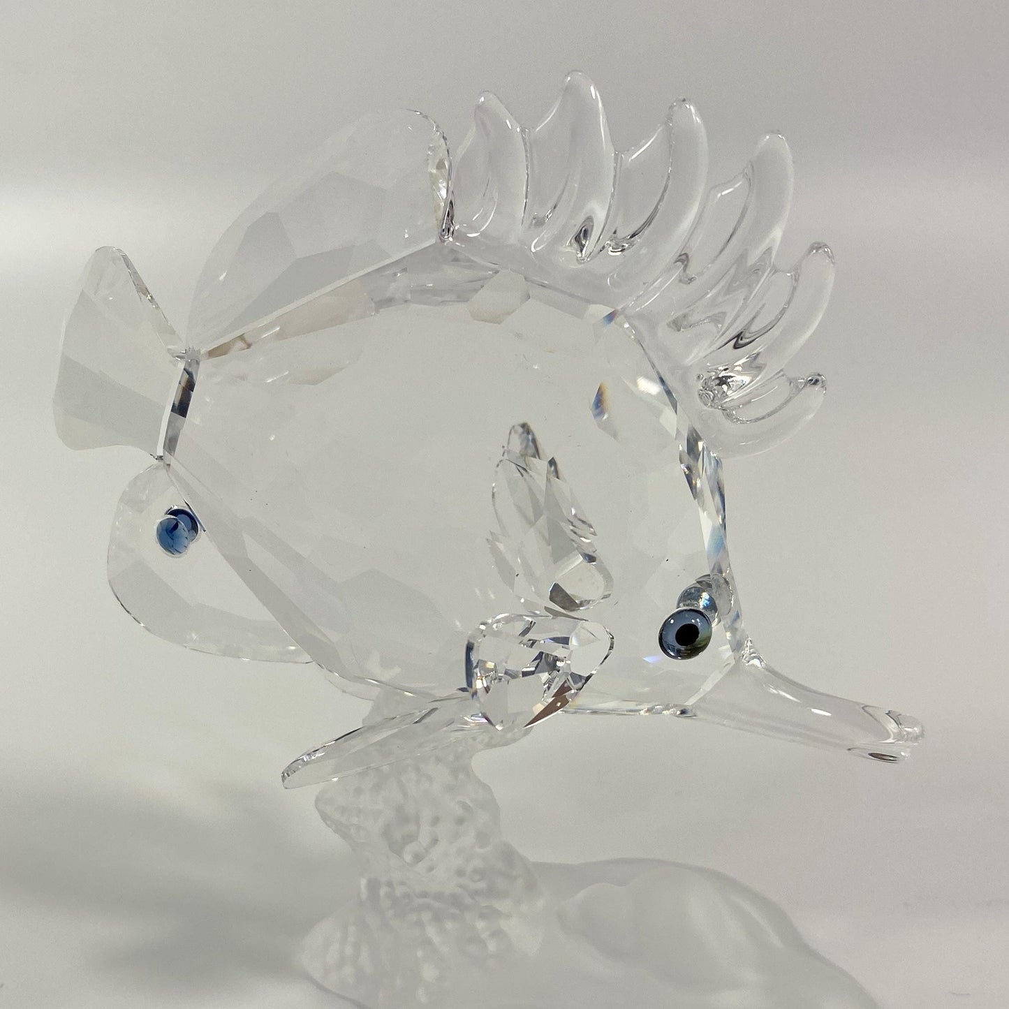 Swarovski Large Crystal Long-Nosed Butterfly Fish #666567 Austria Original Box