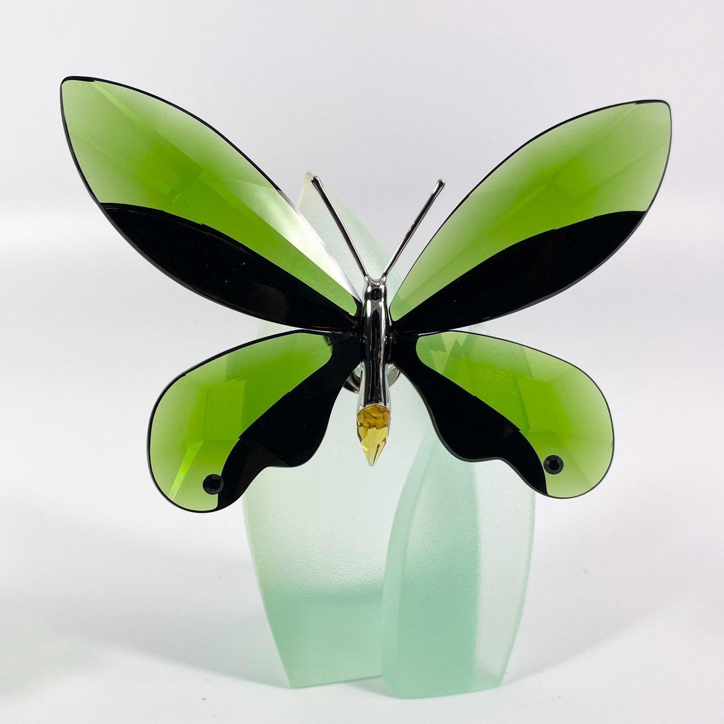 Swarovski Anamosa Exotic Moss Green Butterfly with Stand