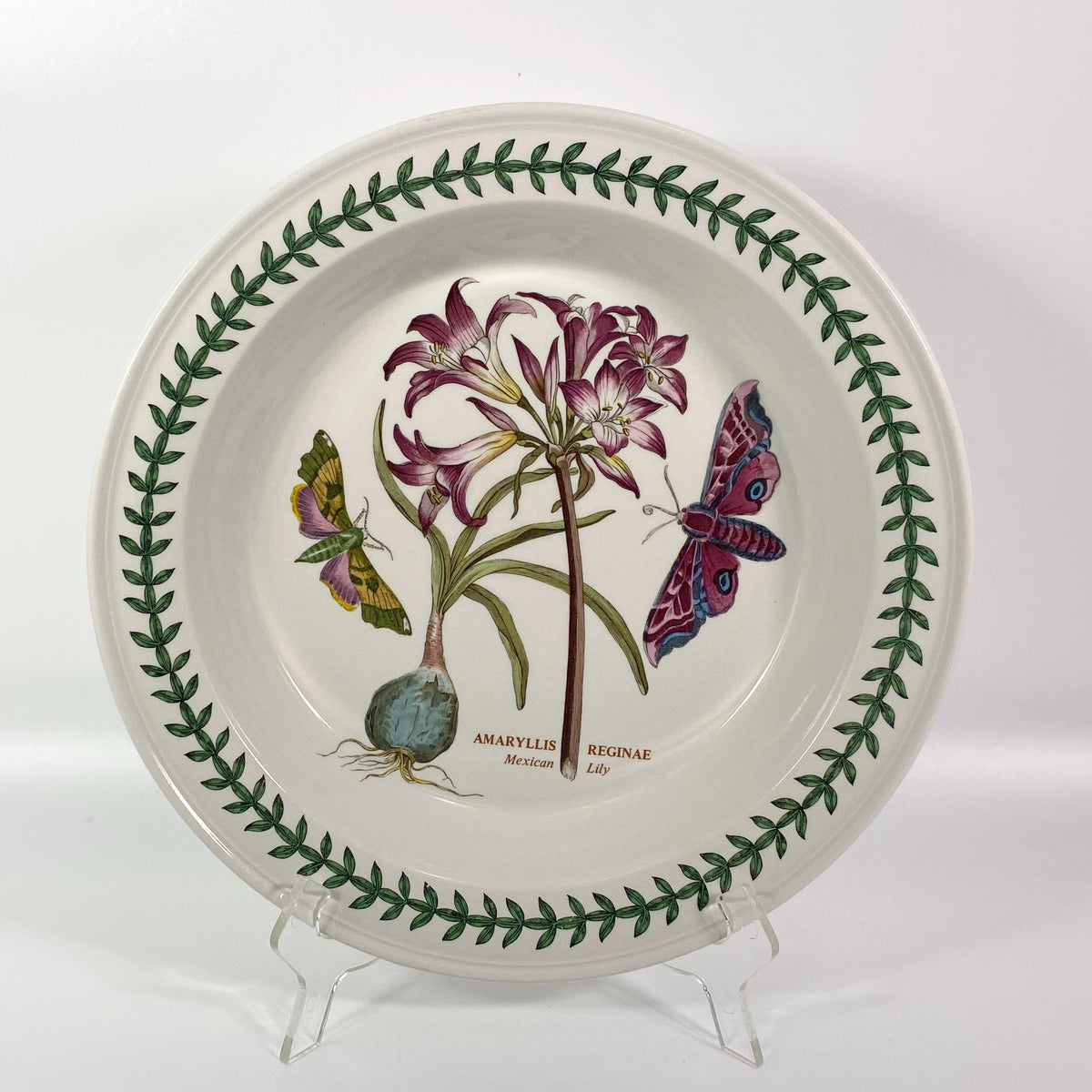 Portmeirion Botanic Garden 10.5" rimmed Dinner Plate AMARYLLIS REGINAE  Lily