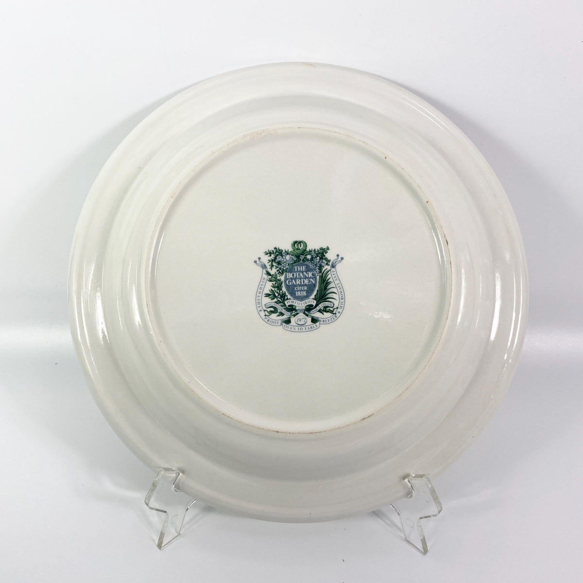 Portmeirion Botanic Garden 10.5" rimmed Dinner Plate AMARYLLIS REGINAE  Lily
