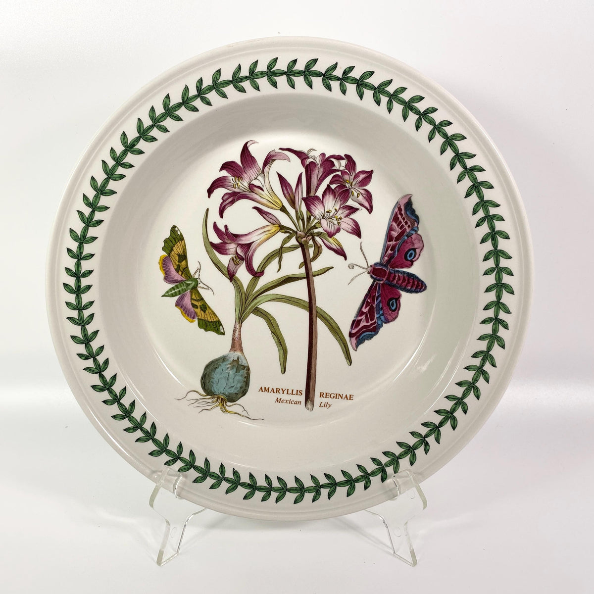 Portmeirion Botanic Garden 10.5" rimmed Dinner Plate AMARYLLIS REGINAE  Lily