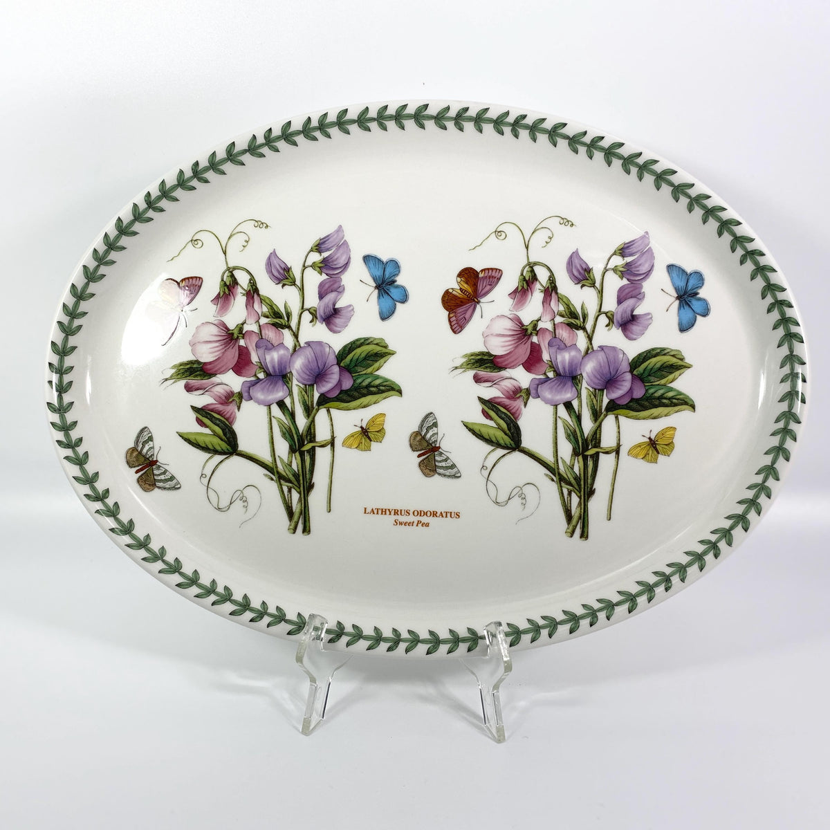 Portmeirion Botanic Garden 11 Inch Oval Platter Lathyrus Odoratus Sweet Pea UK