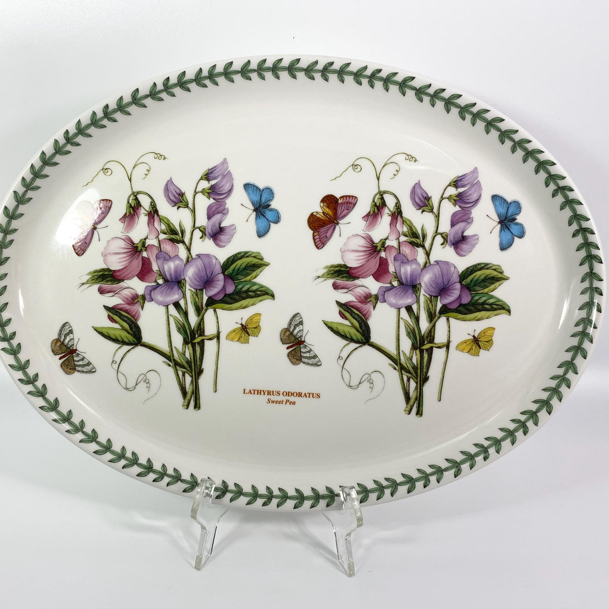 Portmeirion Botanic Garden 11 Inch Oval Platter Lathyrus Odoratus Sweet Pea UK
