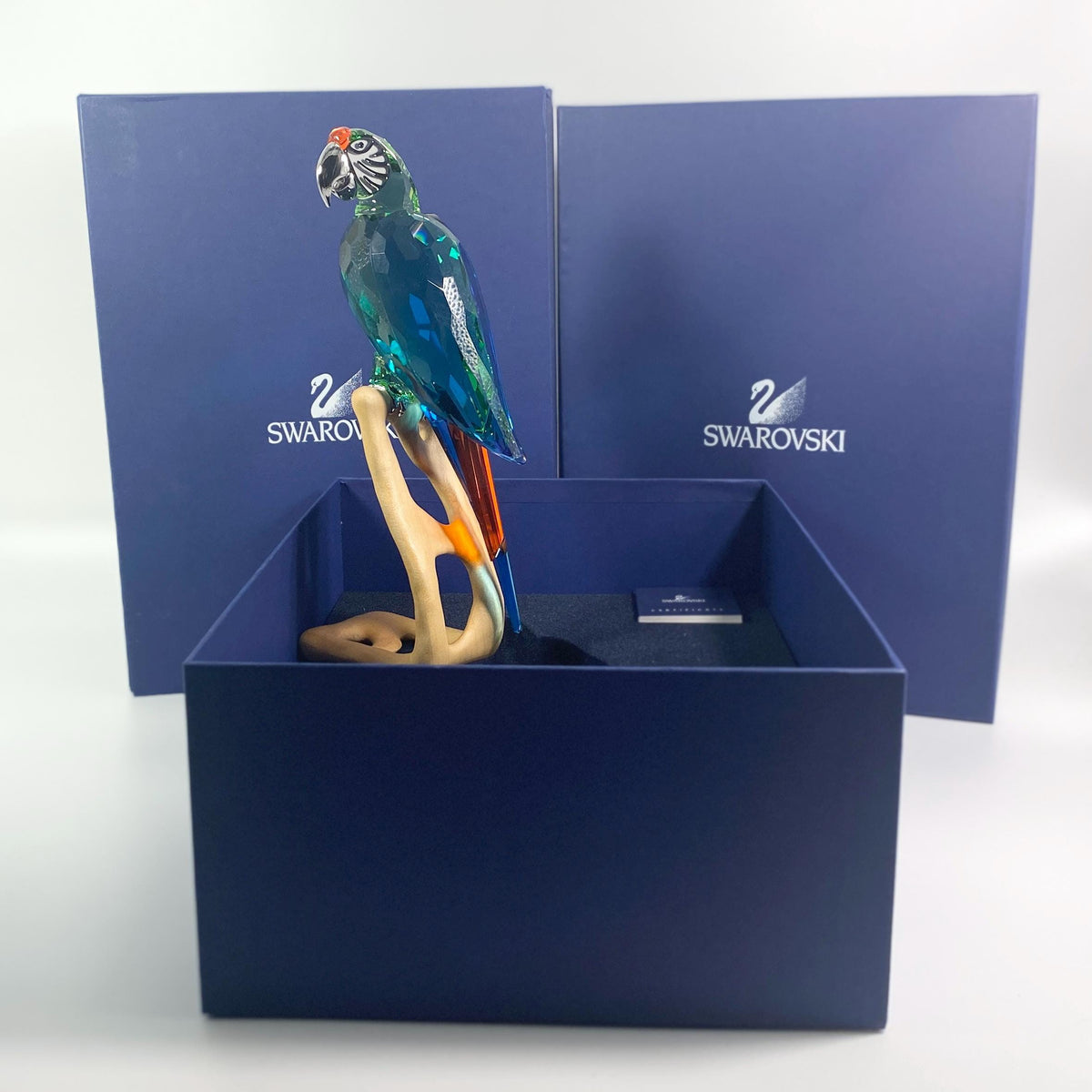 Swarovski Crystal Large Macaw Chrome Green Bird 685824 Retired MIB COA