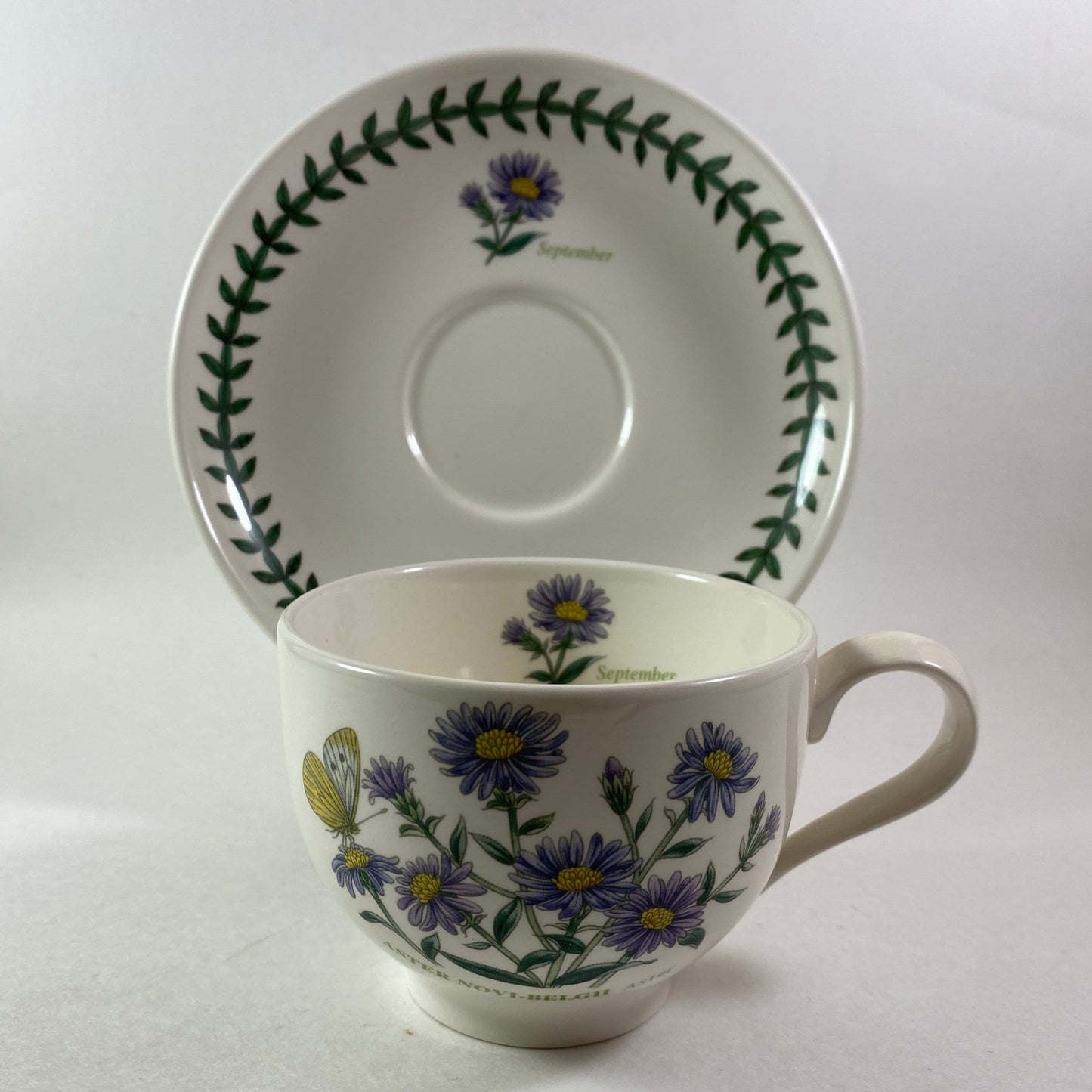 Portmeirion Botanic Garden Aster Novi Belgii Aster September month Cup and Saucer