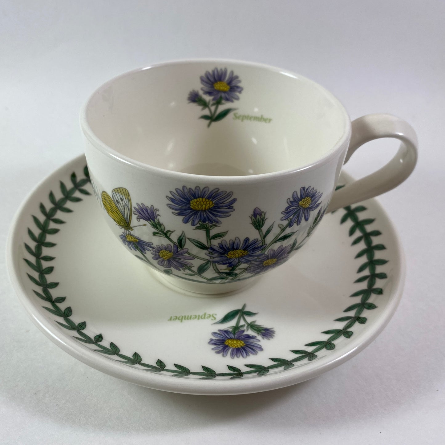 Portmeirion Botanic Garden Aster Novi Belgii Aster September month Cup and Saucer