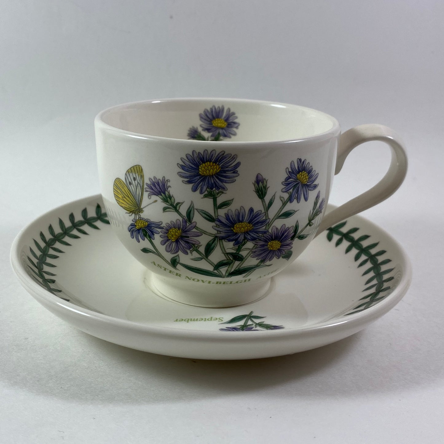 Portmeirion Botanic Garden Aster Novi Belgii Aster September month Cup and Saucer